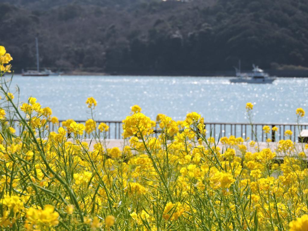 Shimoda Prince Hotel Shizuoka Zewnętrze zdjęcie